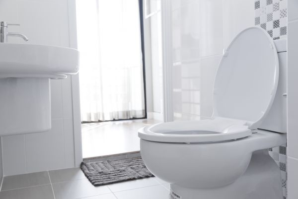 Toilet Seat Installation in Kailua Kona