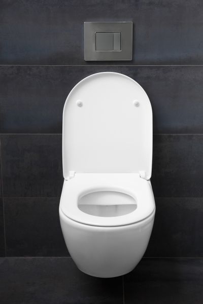 Toilet Lid Installation in Kailua Kona